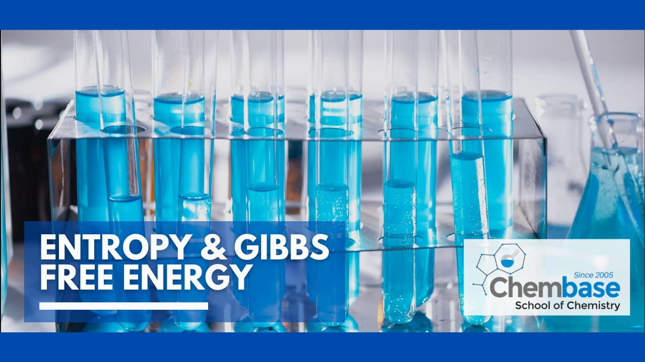 Entropy & Gibbs Free Energy